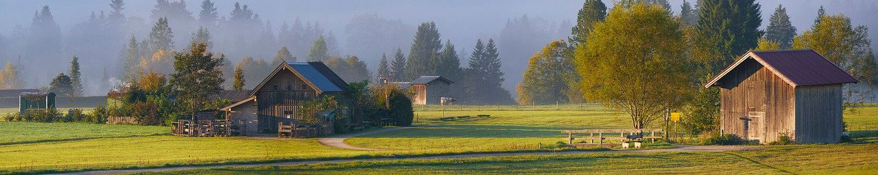 Banner from Pixabay